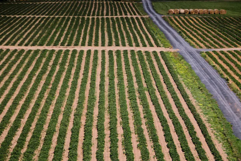 Études phytosanitaires agroalimentaire CRYTA